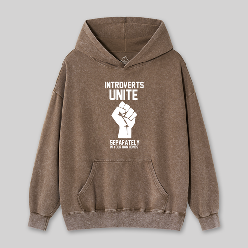 Introverts Unite Geek Washed Hoodie